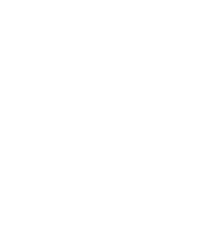 Fever Consultores