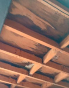 7d3042f3-b8be-4c27-a9c9-b0f49d100972