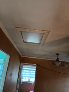 fd0531c9-e214-45cf-a8c0-0264c9889977